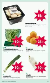 Tempo reklamblad vecka 40 Sida 2: Salladslök €10,00, Vitlök €10,00