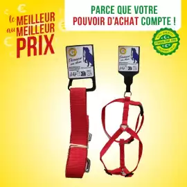 Catalogue Delbard semaine 39 page 3
