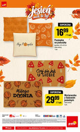 Polomarket gazetka Strona 24: Poszewka na poduszkę 40x40 cm €16,99, Wycieraczka z motywem jesiennym €29,99