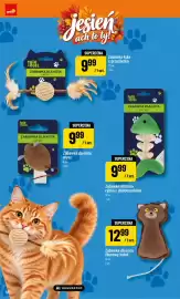 Polomarket gazetka Strona 18: Zabawka dla kota rybka z dzwoneczkiem 12 cm Trik & Roll €9,99