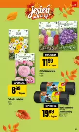 Polomarket gazetka Strona 21: Worki na śmieci czarne Jan Niezbędny €19,99