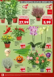 Kaufland gazetka Strona 7