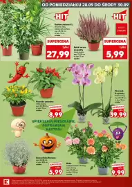 Kaufland gazetka Strona 5