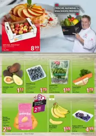 Selgros Prospekt woche 40 Seite 3