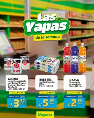 Catálogo Mayorsa (válido hasta 1-10)