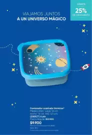 Catálogo Avon Página 60: Contenedor cuadrado universo €9.900,00