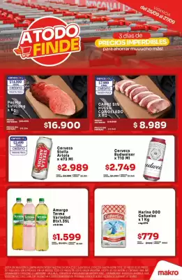 Catálogo Makro