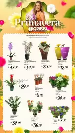 Encarte Giassi Supermercados semana 39 Página 1