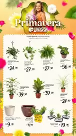 Encarte Giassi Supermercados semana 39 Página 2