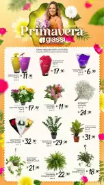 Encarte Giassi Supermercados semana 39 Página 2: Maço de Rosa Colorida c/5 Hastes €32,90, Zamioculcas pote 17 €29,90
