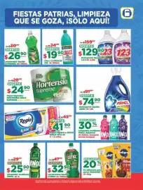 Folleto Super Gutiérrez semana 39 Página 7: Detergente liquido ariel €74,90, Citrex lavatrastes liquido €32,90