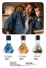 Catálogo Avon Página 101