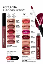 Catálogo Avon Página 42