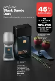 Catálogo Avon Página 91: Misterio - black suede dark €24.200,00