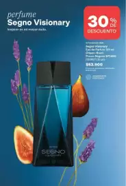 Catálogo Avon Página 95: Avon - segno visionary eau de parfum 100 ml €52.900,00