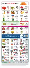 ShopRite flyer week 39 Page 10: Lily In Bloom Bunch €14,99, Hardy Mum Plant €4,99