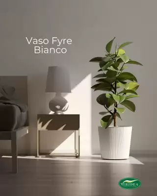 Viridea (valido fino al 1-10)