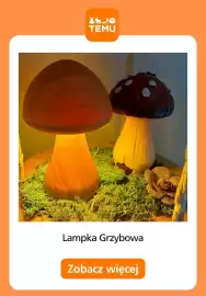 Temu gazetka Strona 8