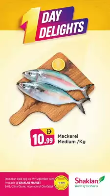Shaklan (valid until 25-09)