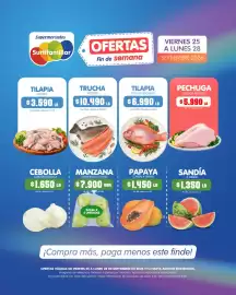 Catálogo Surtifamiliar Página 6