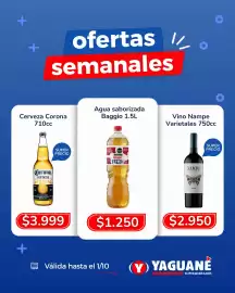 Catálogo Yaguane Supermercados semana 39 Página 5