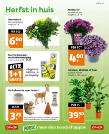 Poiesz folder week 40 Pagina 37: Ecostyle bloemen- en plantenverzorging €4,59, Alstroemeria €6,00