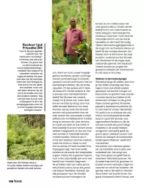 Albert Heijn magazine | Koffie Pagina 105