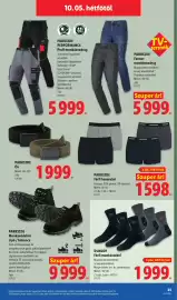 Lidl akciós újság hét 40 Oldal 25: Parkside Performance Profi munkásnadrág €5.999,00