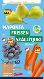 ALDI akciós újság hét 40 Oldal 31: Bio sárgarépa €699,00, Szilva €599,00