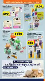 ALDI akciós újság hét 40 Oldal 39: Home Creation kreatív készlet €699,00, Gyermek kártyacsomag €1.499,00