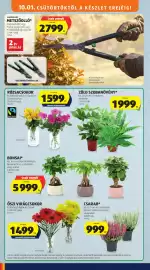 ALDI akciós újság hét 40 Oldal 10: Őszi virágcsokor €1.499,00, GARDENLINE METSZŐOLLÓ €2.799,00