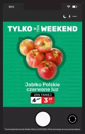 Biedronka gazetka Strona 22