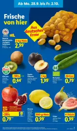 Lidl Prospekt Seite 3