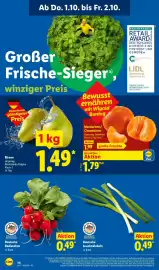 Lidl Prospekt Seite 60