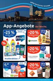 Budni Prospekt woche 41 Seite 10