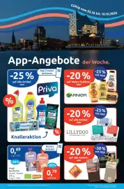 Budni Prospekt woche 41 Seite 10