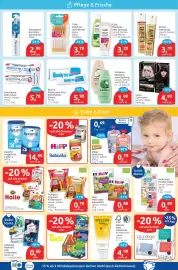 Budni Prospekt woche 41 Seite 3