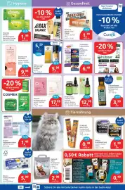 Budni Prospekt woche 41 Seite 5