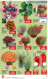 Kaufland Prospekt woche 40 Seite 35