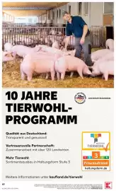 Kaufland Prospekt woche 40 Seite 63