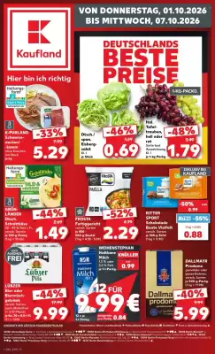 Kaufland (gültig bis 7-10)