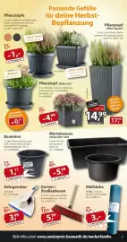 Sonderpreis Baumarkt Prospekt woche 40 Seite 7