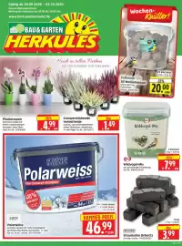 Herkules Baumarkt Prospekt Seite 1