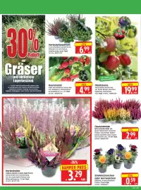 Herkules Baumarkt Prospekt Seite 2