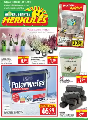 Herkules Baumarkt Prospekt (gültig bis 2-10)
