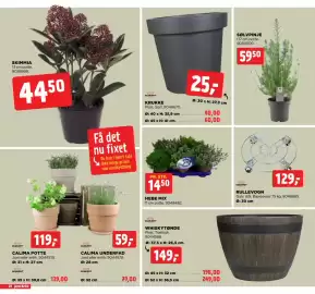Jem & fix tilbudsavis uge 40 Side 28: WHISKYTØNDE, SKIMMIA €44,50