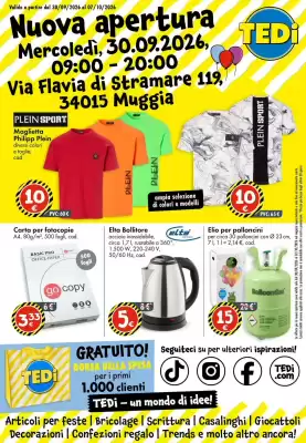 Volantino Tedi (valido fino al 2-10)