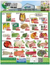 Skyland Foodmart flyer week 39 Page 1: Pork Chop €1,99, Irish Spring Deodorant Soap €12,99