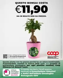 Volantino Extracoop Pagina 38: Bonsai Verde Speranza €11,90