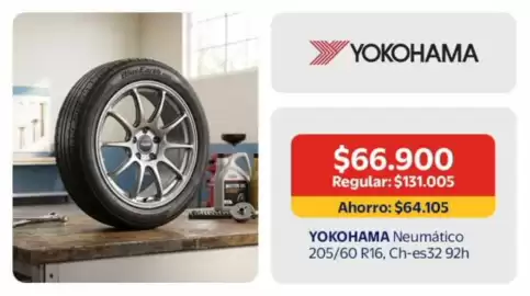 Catálogo Lider Página 13: Neumático €66.900,00